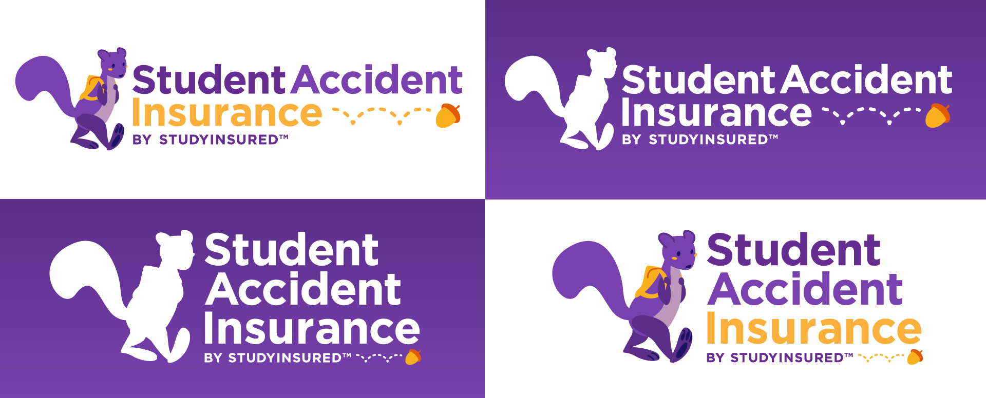 Student Accident Insurance logo treatments